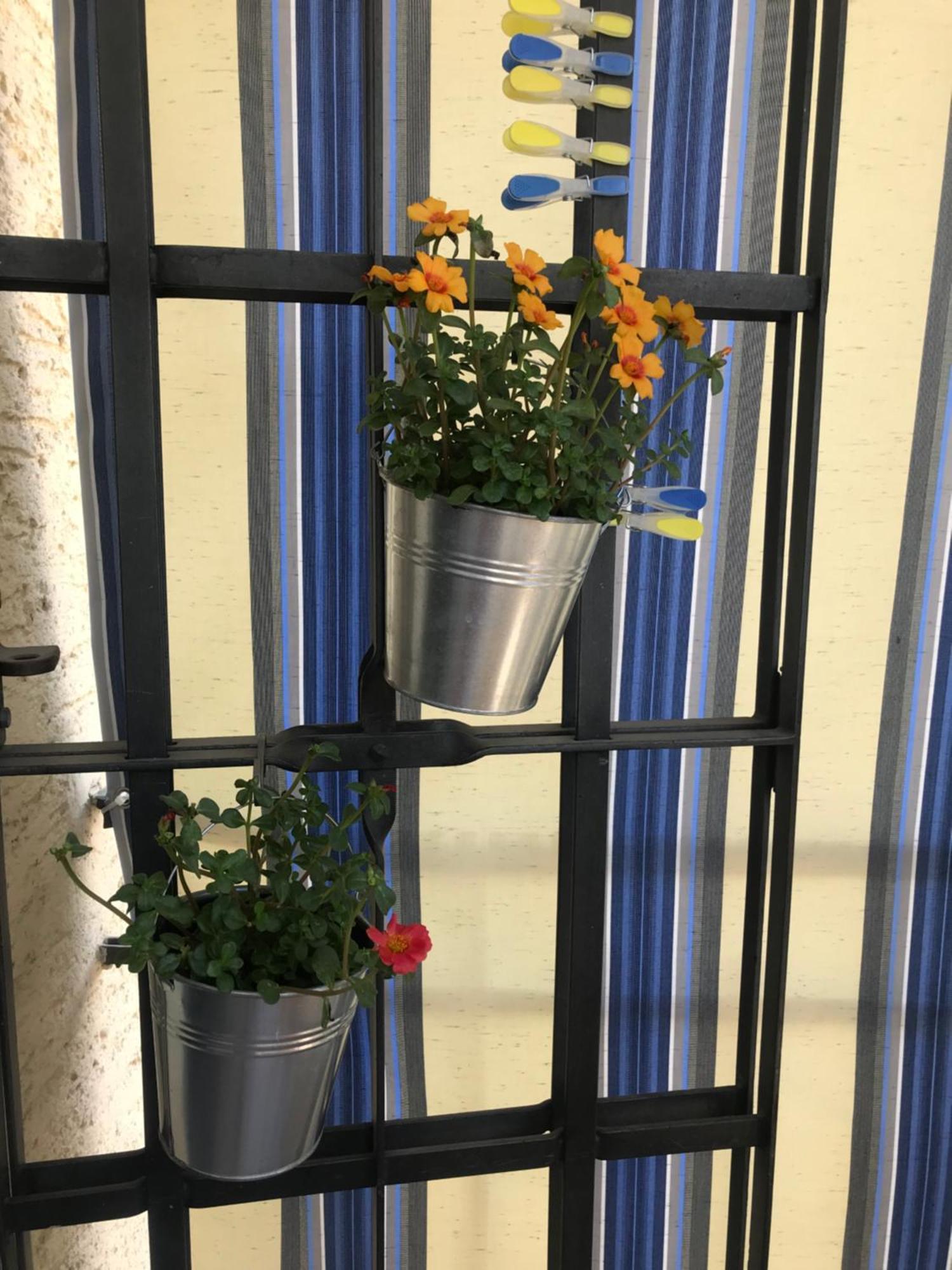 Apartment Mays *